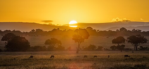 Maasai Mara National Reserve
